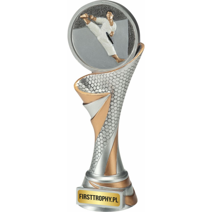 Odlewana Statuetka Sztuki Walki FG141FG005 22,5cm