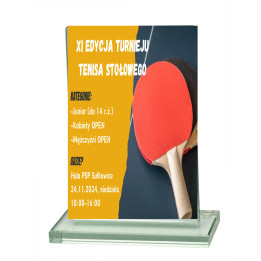 Statuetka Szklana  W711A  16cm DOWOLNY NADRUK