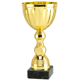 Puchar Ogólny Et.471.01