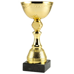 Puchar Ogólny ET.472