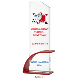 Trofeum Szklane + ETUI  TM166B  25,5cm DOWOLNY GRAWER I NADRUK