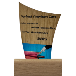 Statuetka Drewniana TM119  19cm