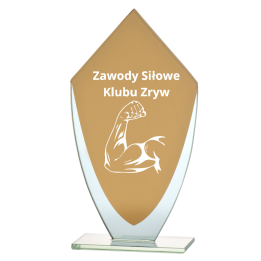 Trofeum Szklane TM162 16,5cm  DOWOLNY  GRAWER