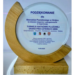 Trofeum Szklane TM181  19cm