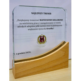 Trofeum Szklane TM179  17cm