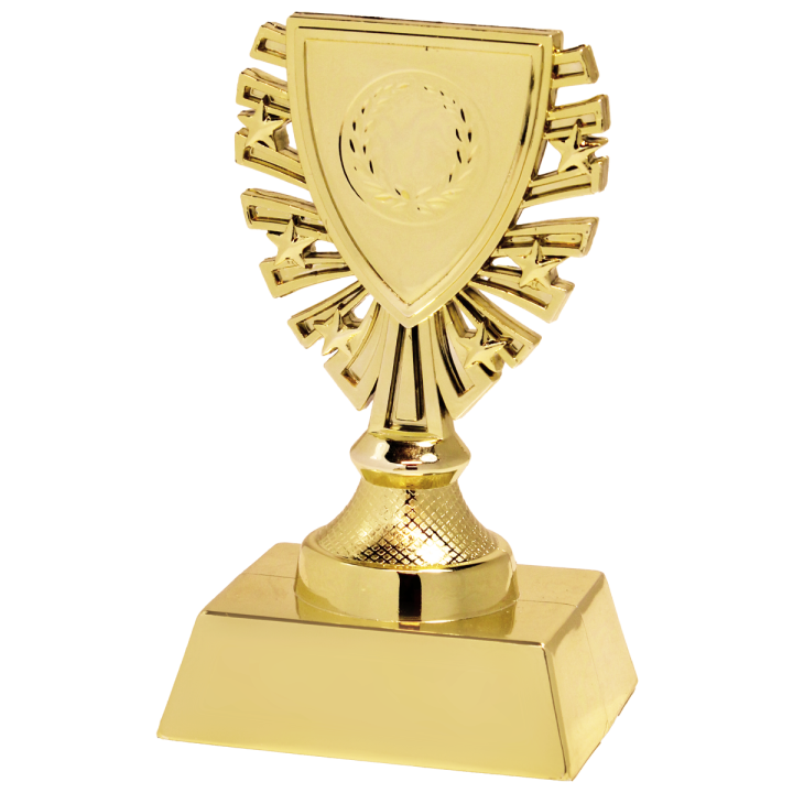 Puchar Ogólny X620 12,5cm