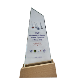 Trofeum Szklane TM180  22cm