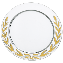 Patera metalowa w etui z grawerem